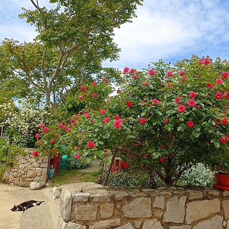 App Bonic Apartamento Veli Lošinj Exterior foto