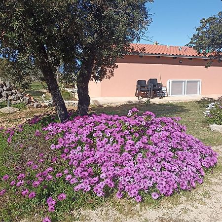 App Bonic Apartamento Veli Lošinj Exterior foto