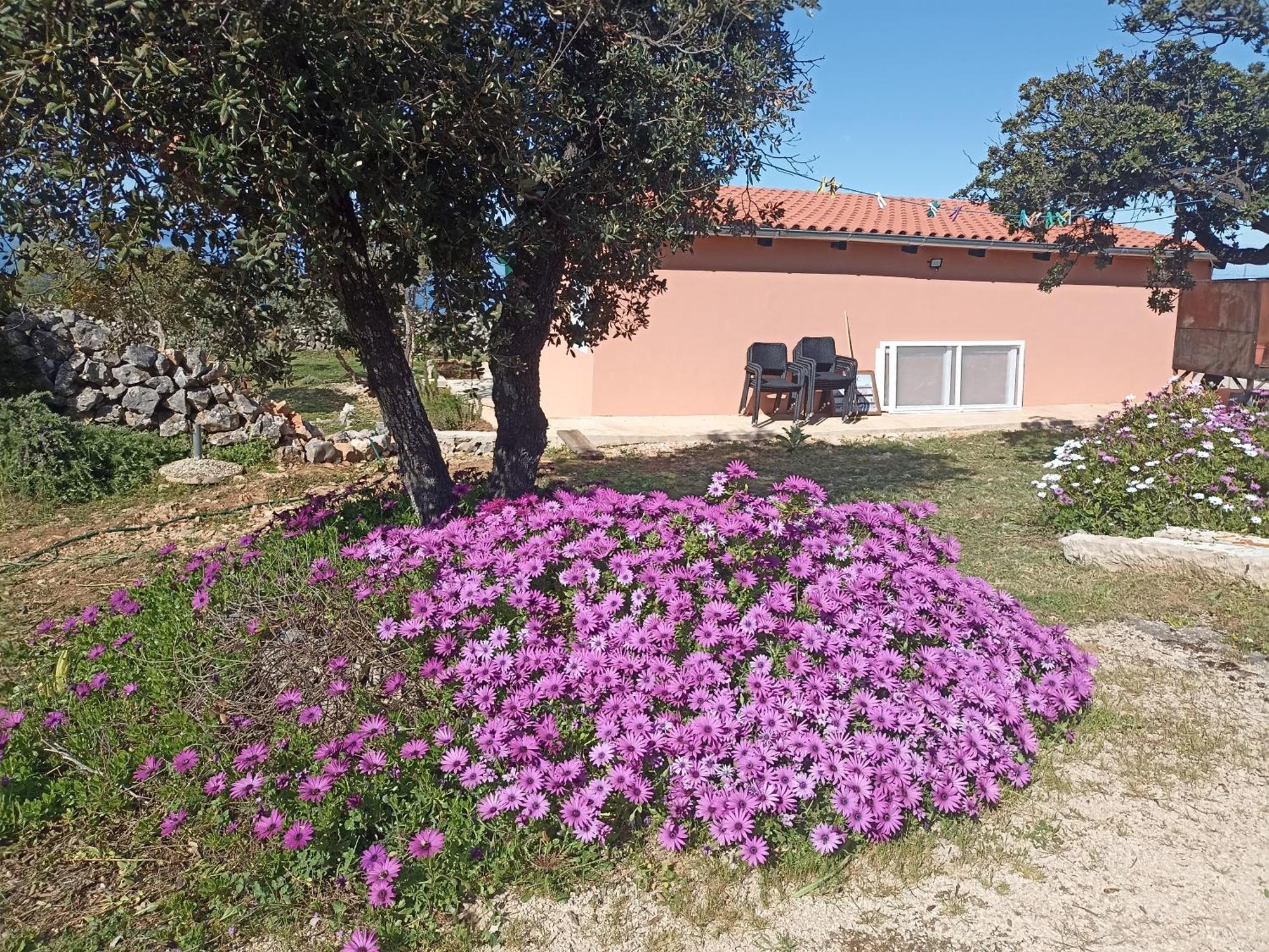 App Bonic Apartamento Veli Lošinj Exterior foto